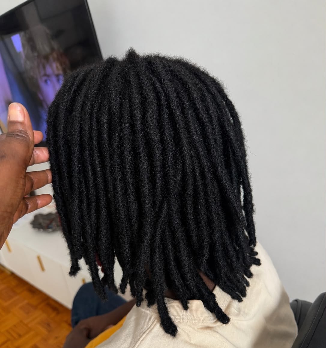 Traditional Locs